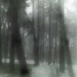 Meet your Posher, Shauntai